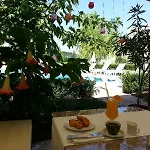 Family Muses Otel 3*